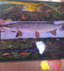 photo prise 51624 par matmouz