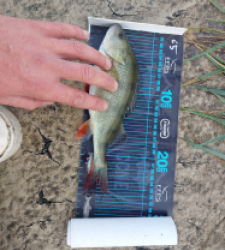 photo prise 51625 par Guizinzin 