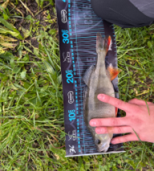 photo prise 51626 par ANTOINE DUBUC