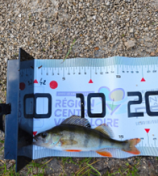 photo prise 51627 par Paulgarfish 