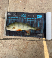 photo prise 51628 par Joris Pougin