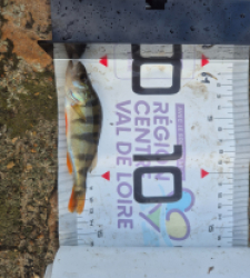 photo prise 51629 par Adidz