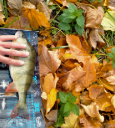 photo prise 51631 par Hardcore