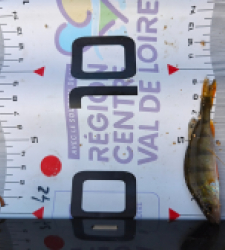 photo prise 51632 par Paulgarfish 