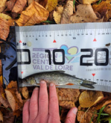 photo prise 51633 par FISH1MAX