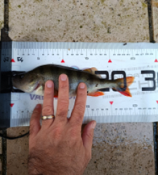 photo prise 51634 par Matteo treton