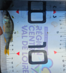 photo prise 51635 par Pecheur d'eau douce