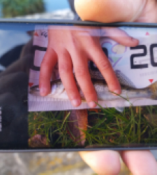 photo prise 51636 par 