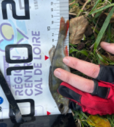 photo prise 51637 par 