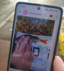 photo prise 51638 par girard-benoit