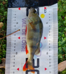 photo prise 51639 par lorenzomagnifico16