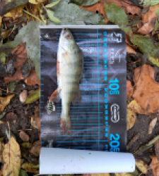 photo prise 51640 par gege10