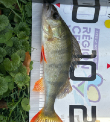 photo prise 51641 par REMES