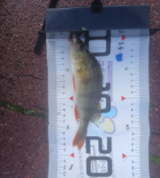 photo prise 51642 par 