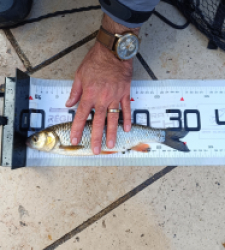 photo prise 51643 par Matteo treton