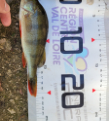 photo prise 51645 par leandre.charrier