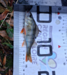 photo prise 51646 par Julien41