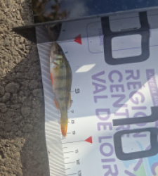 photo prise 51647 par LOUANN06