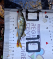 photo prise 51648 par Julien41