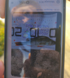 photo prise 51649 par 