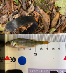 photo prise 51650 par Ben