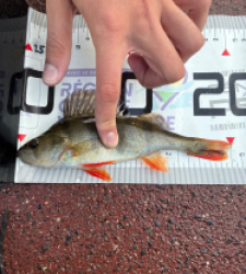 photo prise 51651 par 