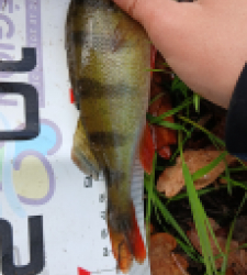 photo prise 51652 par 