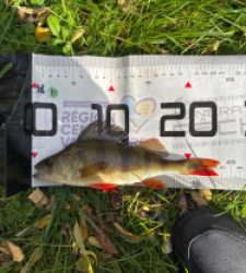 photo prise 51653 par 