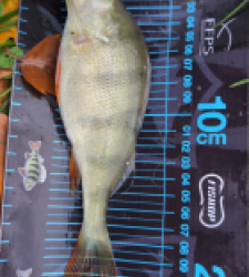 photo prise 51656 par 