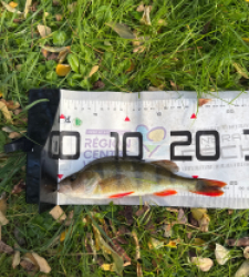 photo prise 51657 par 