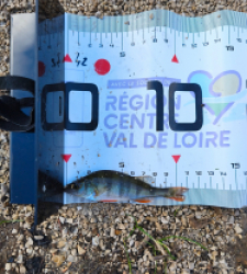 photo prise 51658 par Paulgarfish 