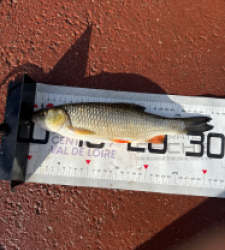 photo prise 51660 par 