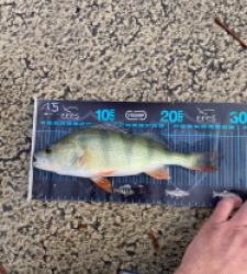 photo prise 51664 par Desosseur59