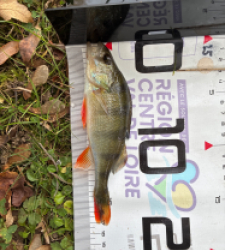 photo prise 51665 par 