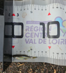 photo prise 51667 par Pecheur d'eau douce