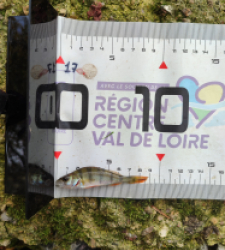 photo prise 51668 par AaronPike