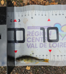 photo prise 51669 par Pecheur d'eau douce