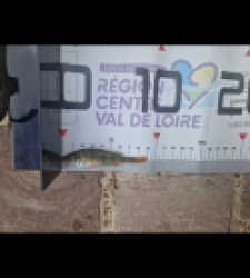 photo prise 51670 par LOUANN06