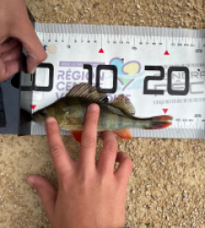 photo prise 51671 par 