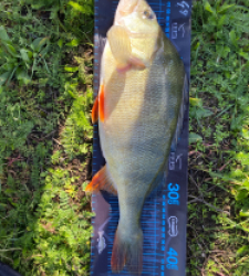 photo prise 51672 par Seb02300