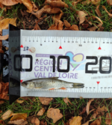 photo prise 51673 par AaronPike