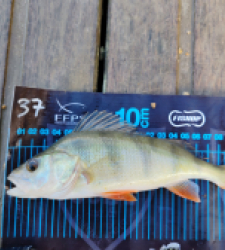 photo prise 51674 par 