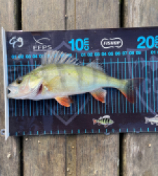 photo prise 51675 par Bara Benjamin