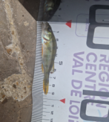 photo prise 51676 par LOUANN06