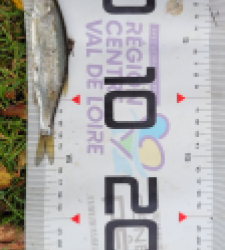 photo prise 51678 par leandre.charrier