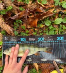 photo prise 51679 par ANTOINE DUBUC