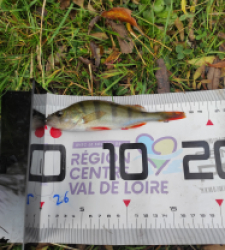 photo prise 51680 par davnad41