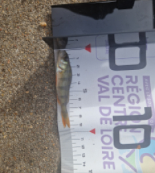 photo prise 51681 par LOUANN06