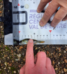 photo prise 51682 par FISH1MAX