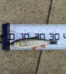 photo prise 51683 par AaronPike